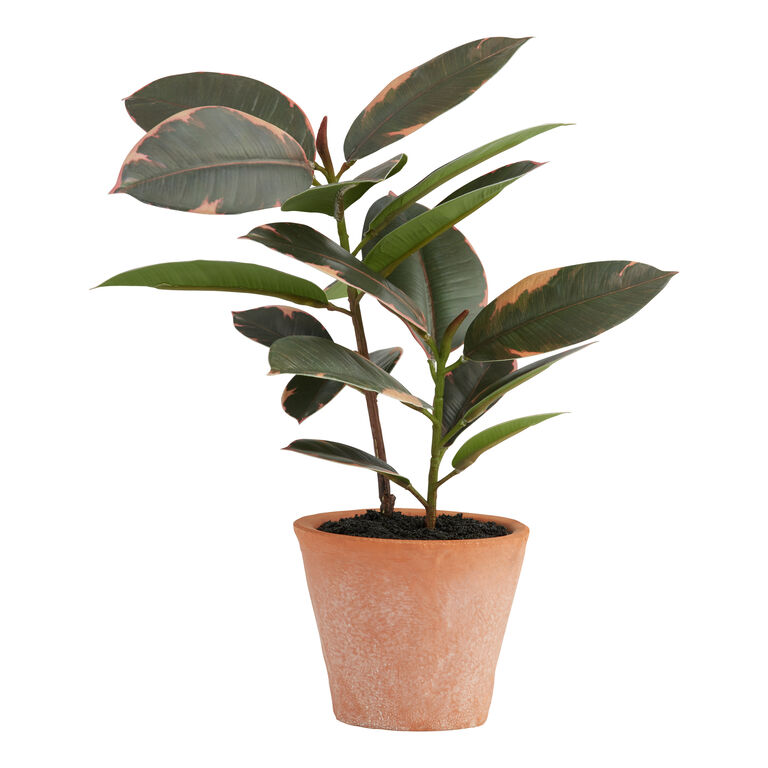 Mini Faux Rubber Plant in Terracotta Pot image number 1