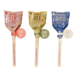 Modern Sprout Pollinator Seed Lollipops Set of 3