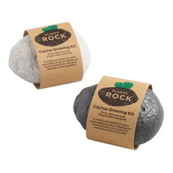 Cactus Ceramic Rock Planter Grow Kit