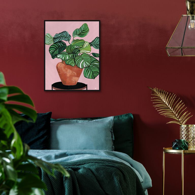 Calatheas By Bria Nicole Framed Canvas Wall Art image number 2