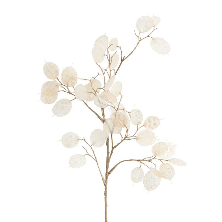 Faux Silver Dollar Lunaria Spray image number 1