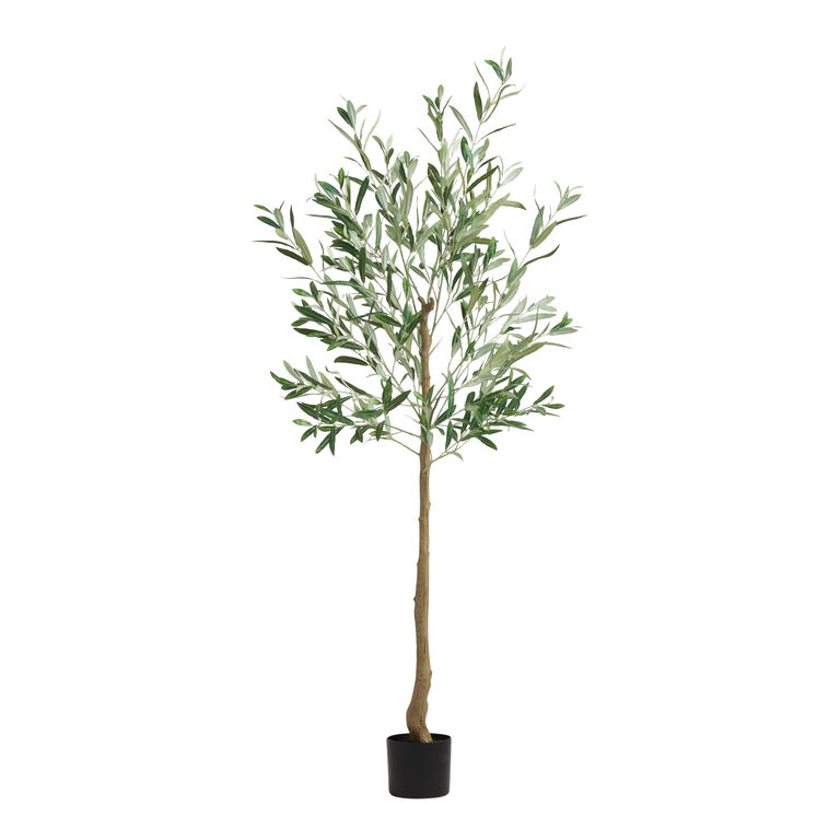 Faux Fruitless Olive Tree image number 1