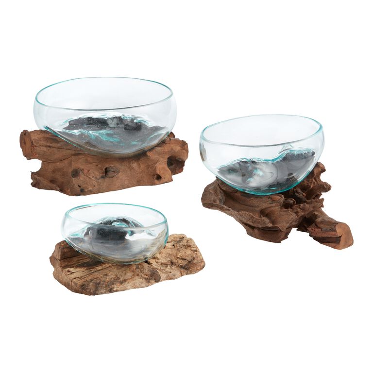 Natural Driftwood And Blown Glass Bowl image number 1
