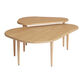 Barnes Golden Natural Wood Nesting Coffee Tables 2 Piece Set image number 0