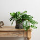 Faux Monstera Plant in Geo Ceramic Pot image number 1