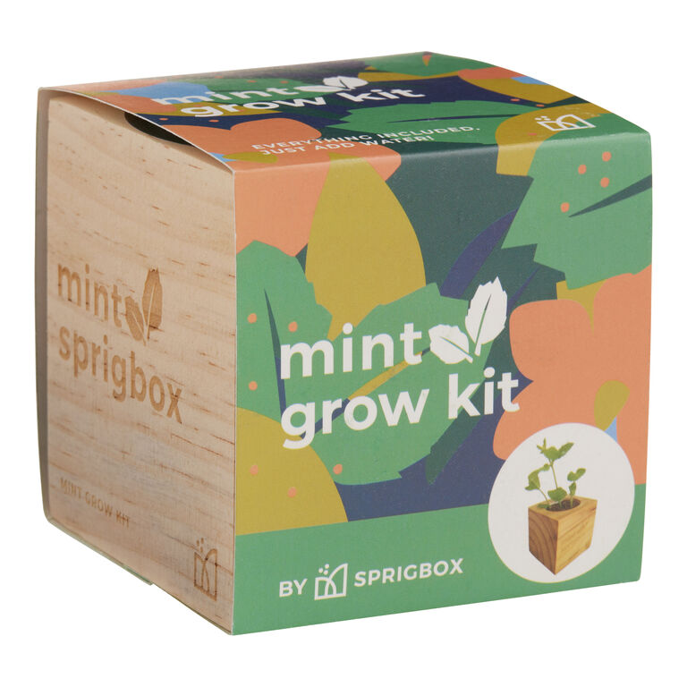 Sprigbox Mint Grow Kit image number 1