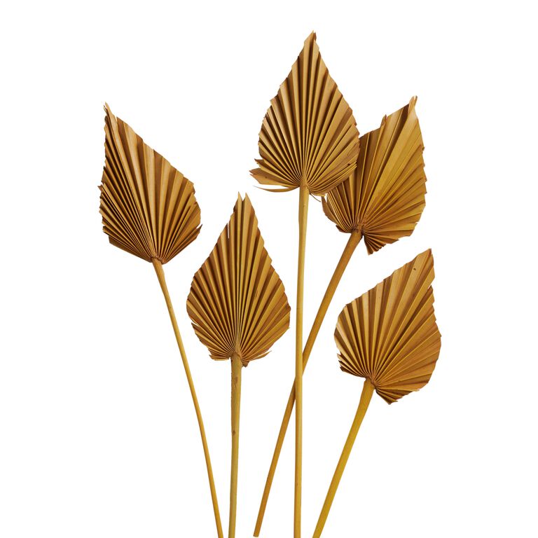 Dried Palm Spear Bunch image number 1