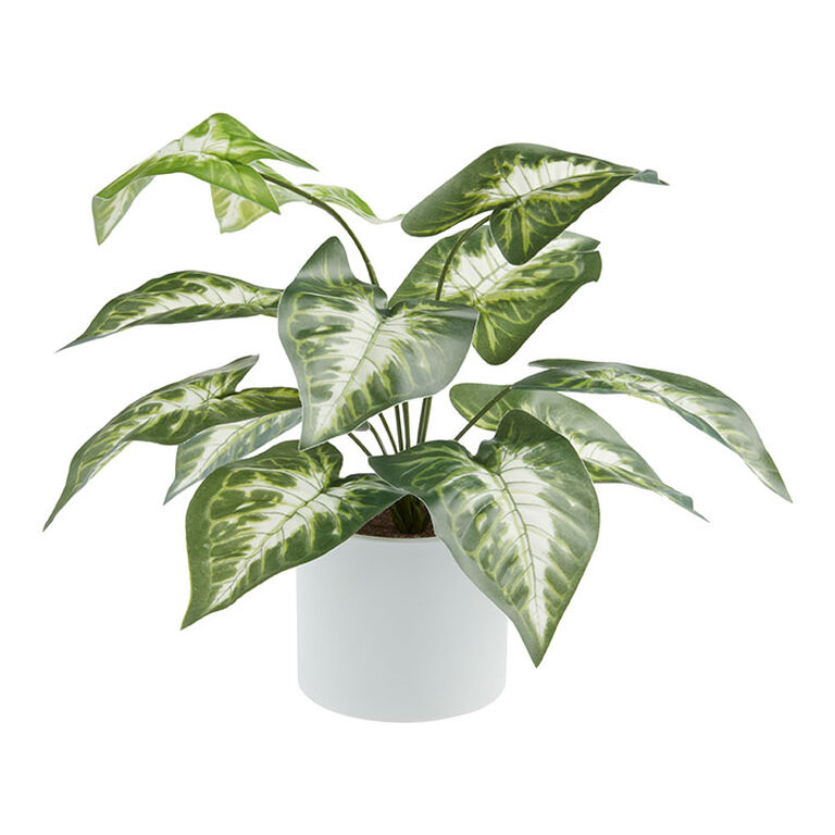 Faux Dasheen Leaf Plant in White Cement Pot image number 1