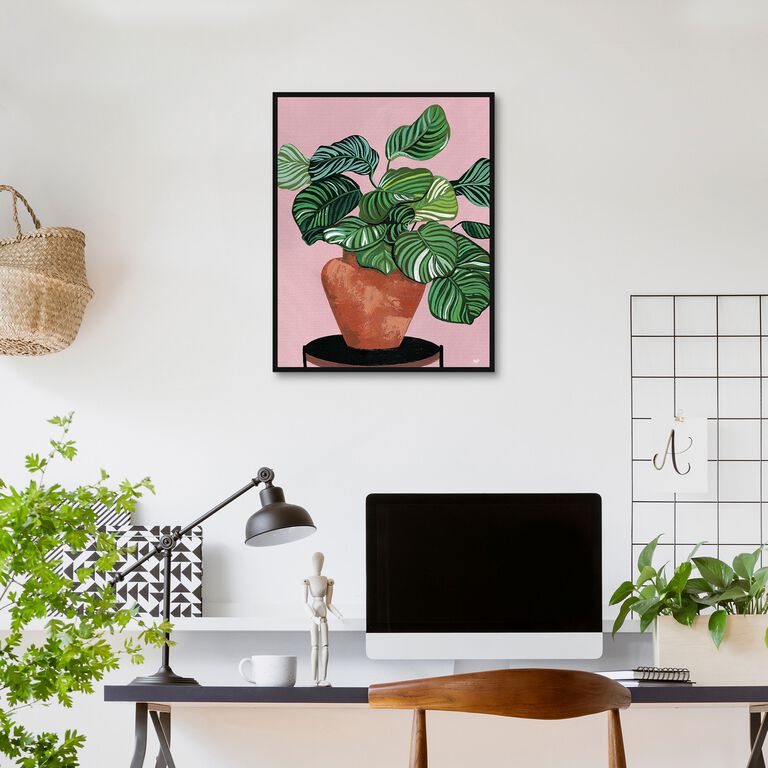 Calatheas By Bria Nicole Framed Canvas Wall Art image number 4