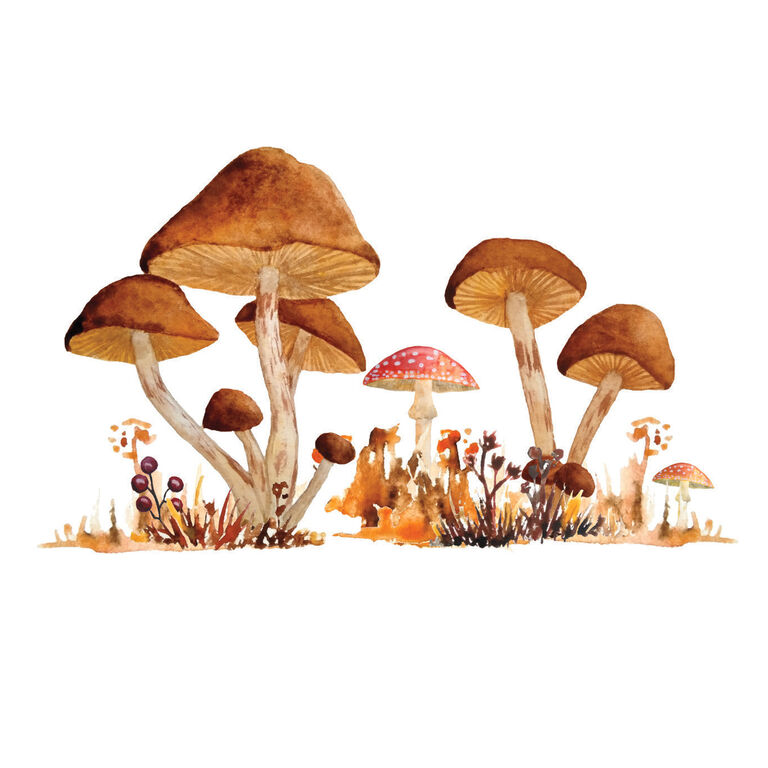 Giant Mushroom Peel and Stick Wall Decals 13 Piece image number 3