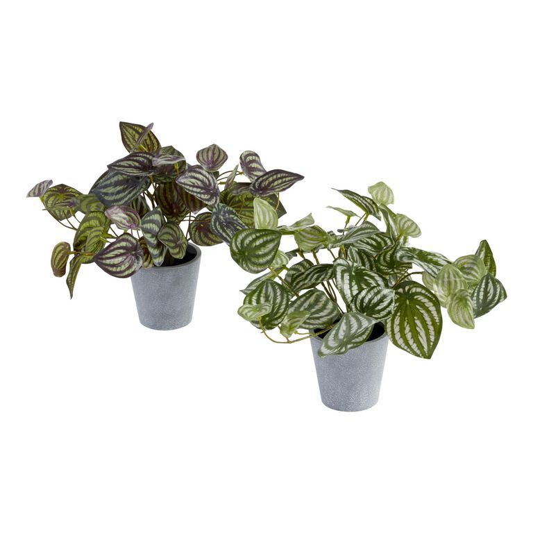 Faux Peperomia Plants Set of 2 image number 1