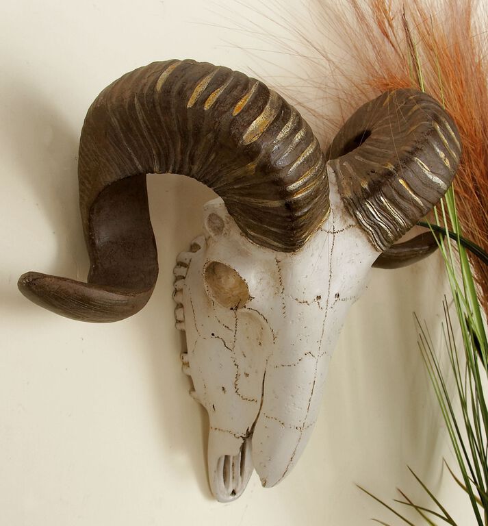 Faux Ram Skull Wall Decor image number 2