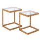 Water Hyacinth and Glass Nesting Laptop Tables 2 Piece Set image number 0