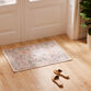 Kora Multicolor Floral Traditional Style Washable Area Rug image number 1