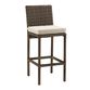 Jace Brown All Weather Wicker Outdoor Barstool Set Of 2 image number 0