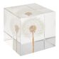 Square Resin Dandelion Paperweight image number 0