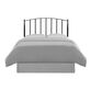 Keily Charcoal Steel Spindle Queen Headboard image number 1