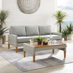 Capella Gray All Weather 2 Piece Outdoor Couch Furniture Set