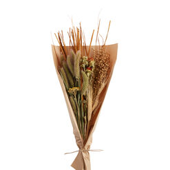 Dried Flax And Safflower Bunch