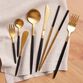 Shay Black And Gold Flatware Collection image number 0
