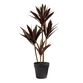 Faux Yucca Plant in Rustic Pot image number 0