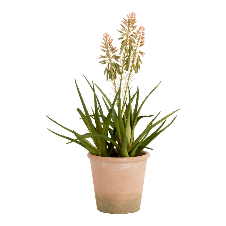 Faux Blooming Agave Plant in Terracotta Pot image number 1