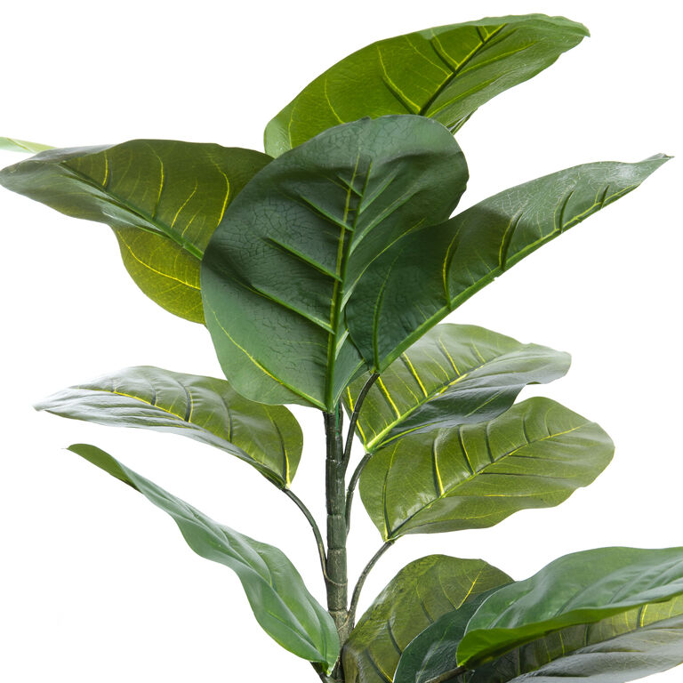 Large Faux Leaf Rubber Plant image number 2