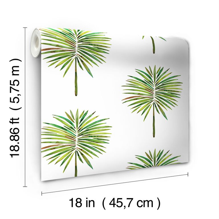 Cat Coquillette Palm Tree Frond Peel And Stick Wallpaper image number 6