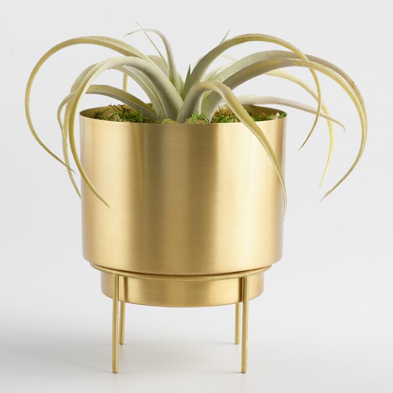 Brushed Gold Planter with Stand image number 3
