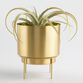Brushed Gold Planter with Stand image number 2
