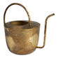 Burnished Antique Gold Watering Can image number 0