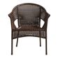 All Weather Wicker Outdoor Tub Chair image number 1