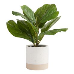 Faux Fiddle Leaf Fig Plant in Two Tone Cement Pot