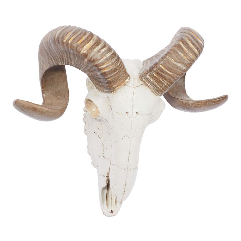 Faux Ram Skull Wall Decor image number 1
