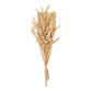 Dried Fire Leaf Palm Bunch image number 0