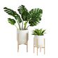 Tapered Ivory Planter With Gold Stand image number 2