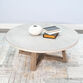 Lanyard Round Gray and Natural Wood Two Tone Coffee Table image number 3