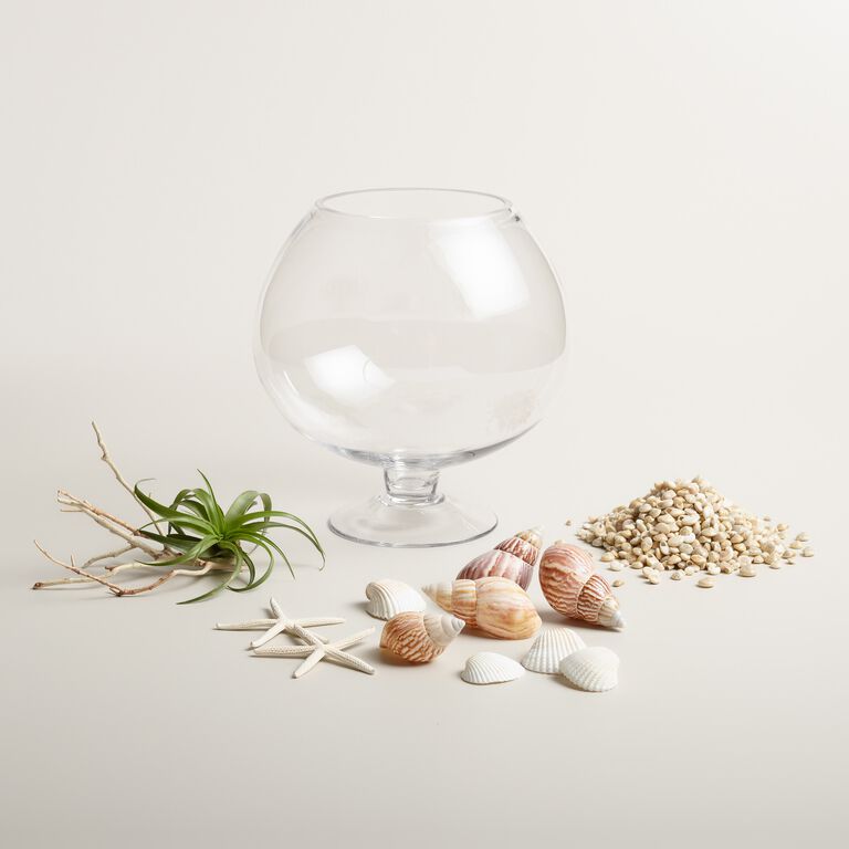 Live Plant Glass Terrarium with Seashells image number 2