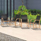 Chiara Mesh and Wood Outdoor Dining Chairs 4 Piece Set image number 1
