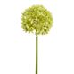 Large Faux Spring Allium Stem image number 0