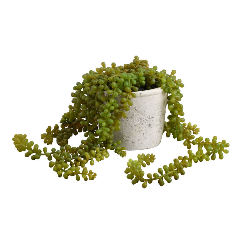 Faux String of Pearls Plant in Textured Pot image number 1