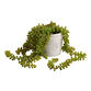 Faux String of Pearls Plant in Textured Pot image number 0