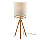 Caroga Rattan and Wood Tripod Table Lamp image number 0
