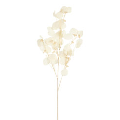 Bleached Faux Seeded Eucalyptus Stem