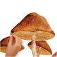 Giant Mushroom Peel and Stick Wall Decals 13 Piece image number 3