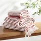 Ashlen Terracotta And White Stripe Terry Hand Towel image number 1