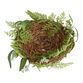 Natural Twig and Faux Fern Nest Decor image number 0