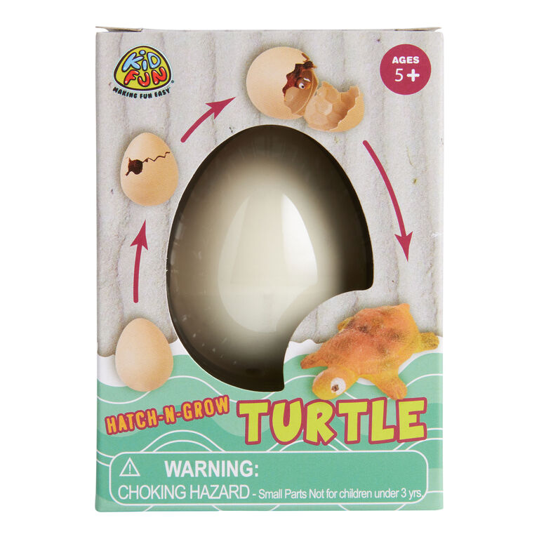 Hatching Turtle Egg image number 1