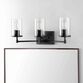 Ronsa Black And Clear Glass 3 Light Wall Sconce image number 1