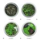 Noted Water Garden Glass Plant Aquarium Set image number 1